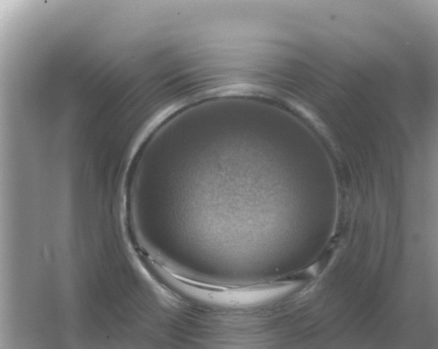 X0000066951418200604071926