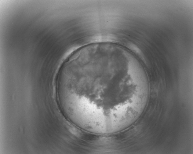 X0000066951419200604071926