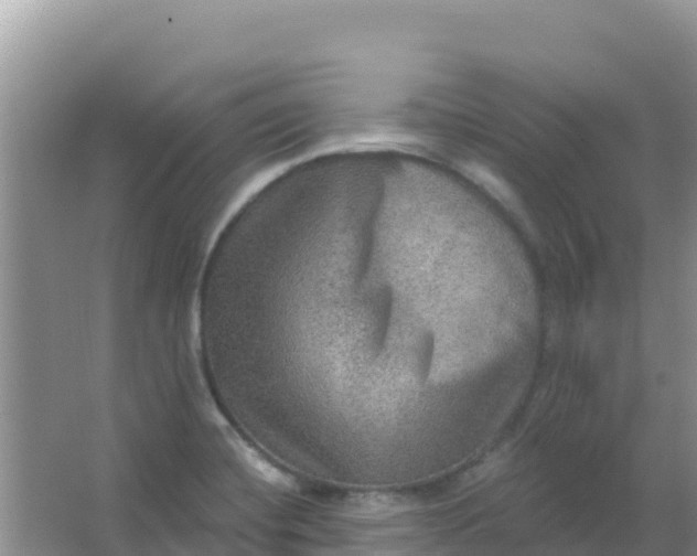 X0000066951420200604071926