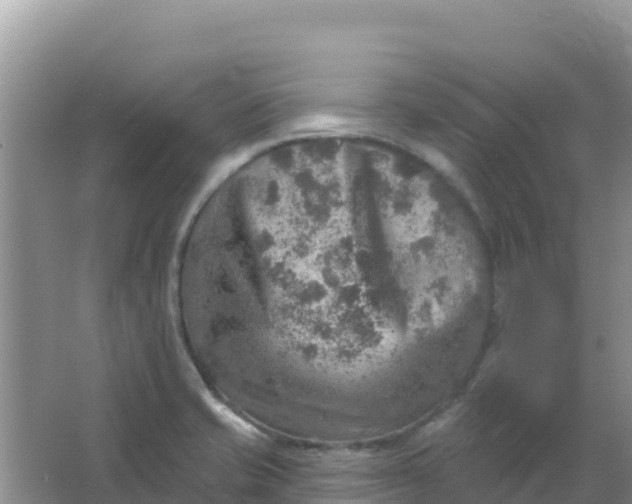 X0000066951421200604071926