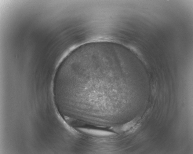 X0000066951422200604071926