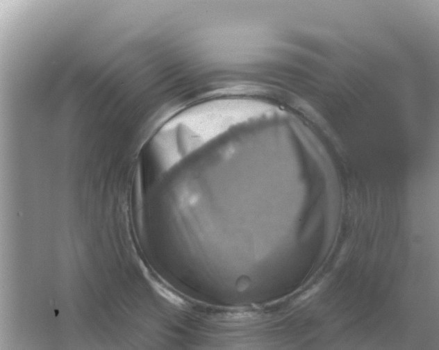 X0000066951425200604071927