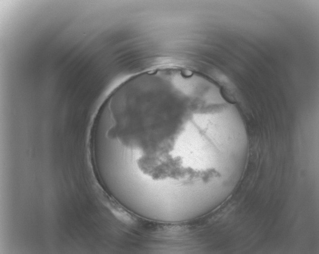 X0000066951427200604071927