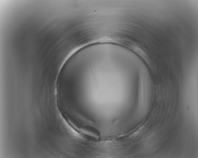 X0000066951428200604071927