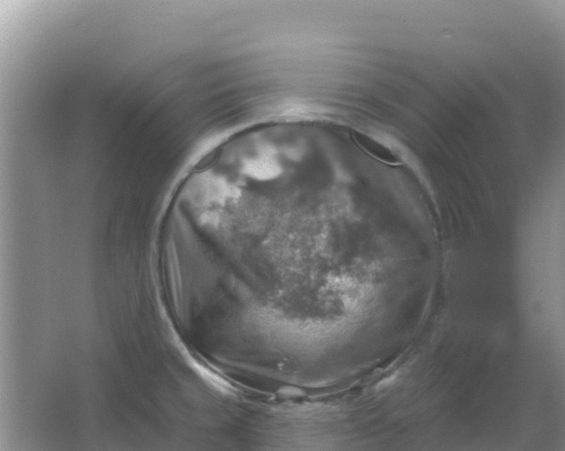 X0000066951429200604071927