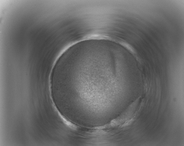 X0000066951430200604071927