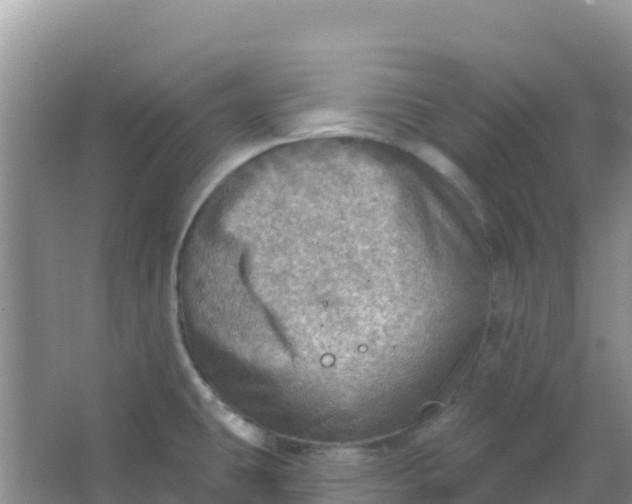 X0000066951431200604071927