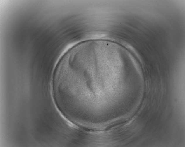 X0000066951432200604071927