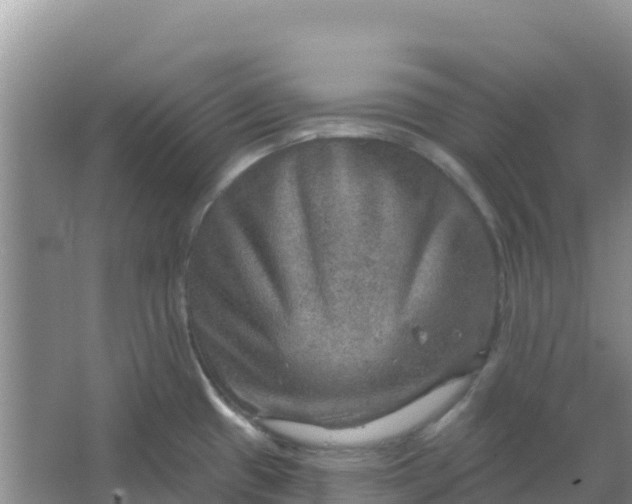 X0000066951433200604071927