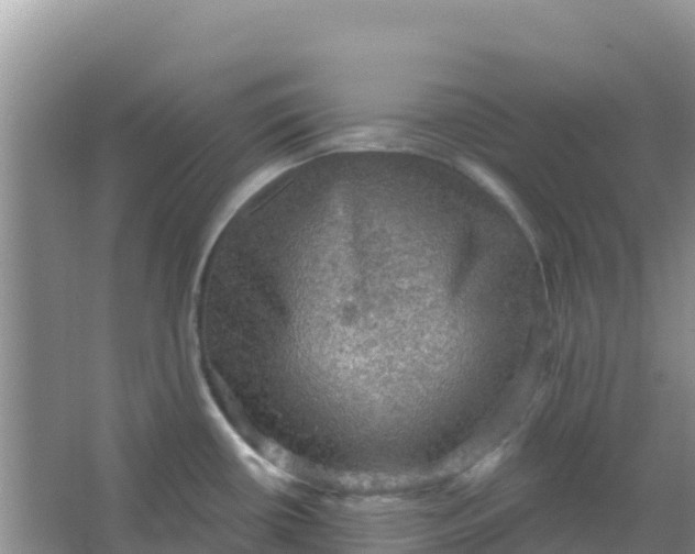 X0000066951434200604071927