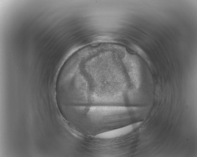 X0000066951435200604071927