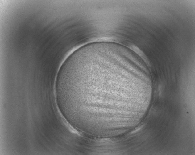 X0000066951436200604071927