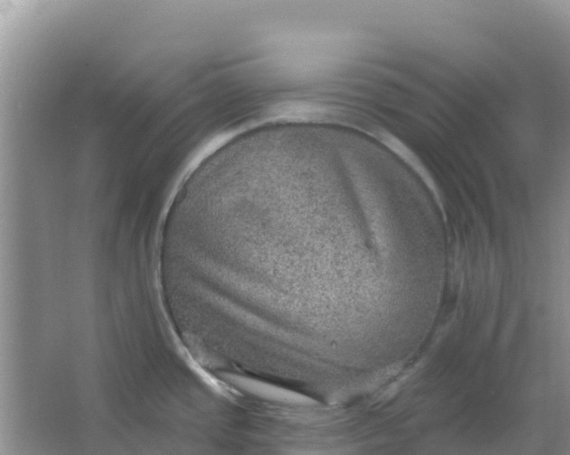 X0000066951437200604071927