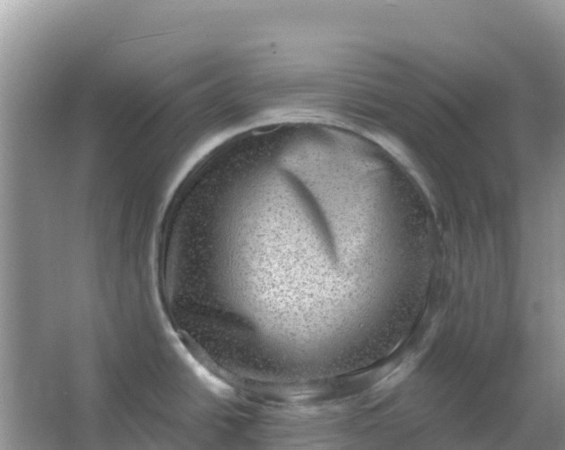 X0000066951438200604071927