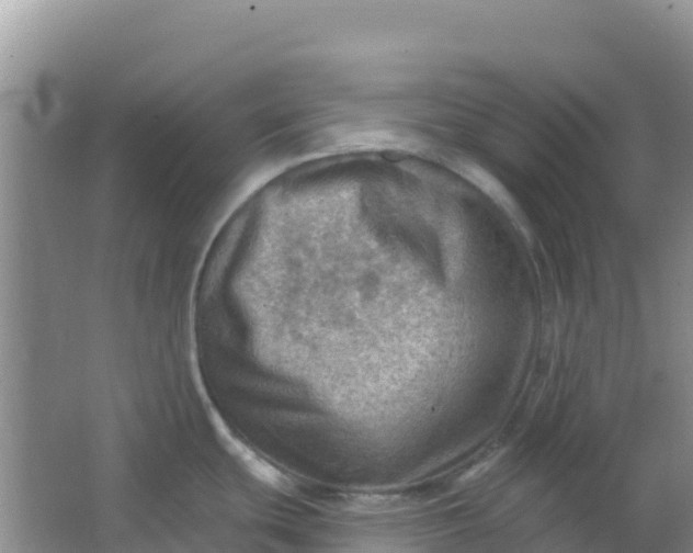 X0000066951439200604071927