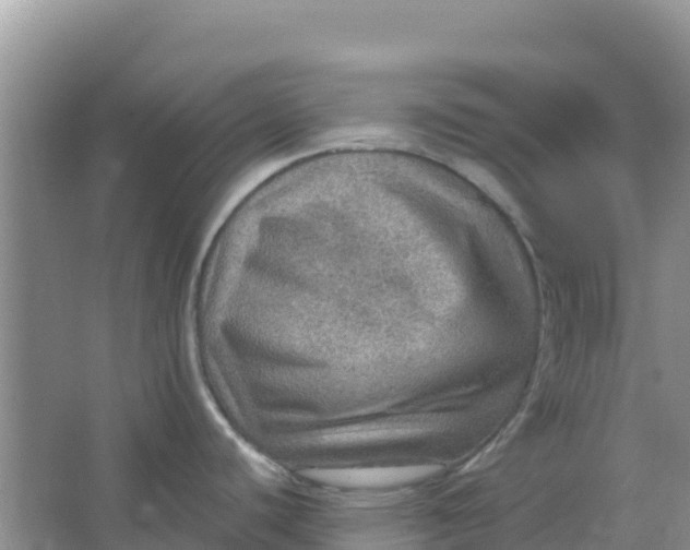 X0000066951440200604071927