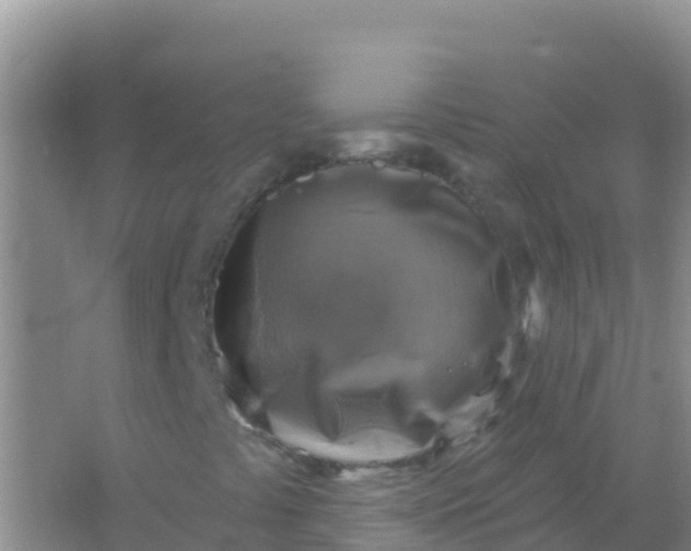 X0000066951441200604071926