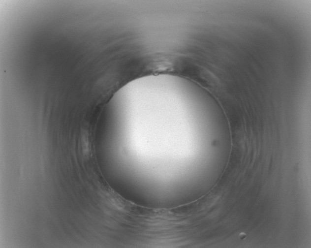 X0000066951442200604071926