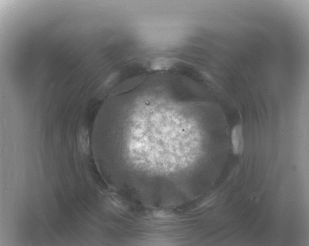 X0000066951443200604071926