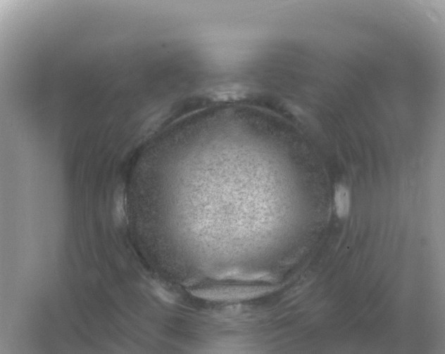 X0000066951444200604071926