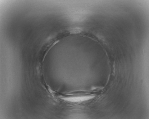 X0000066951445200604071926