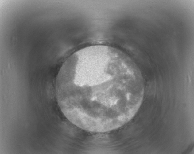 X0000066951446200604071926