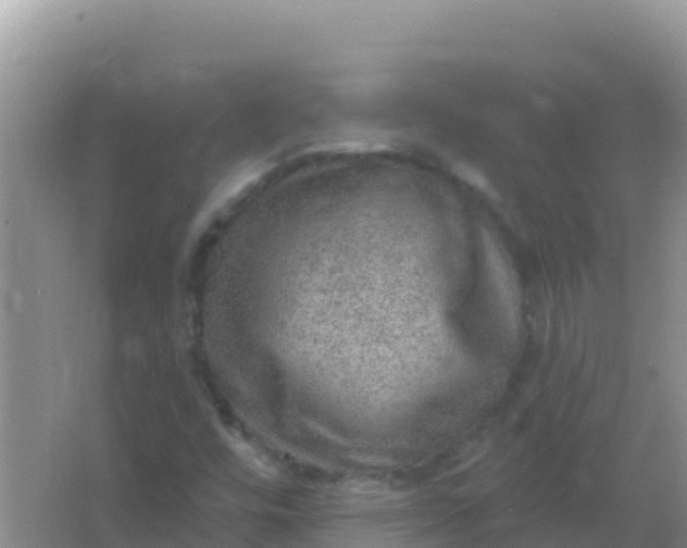 X0000066951448200604071926