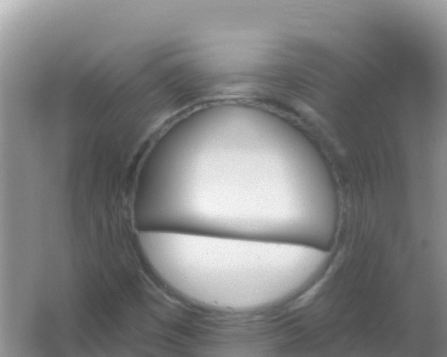 X0000066951449200604071926