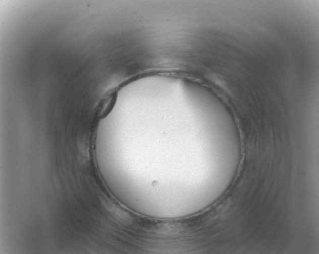 X0000066951451200604071926