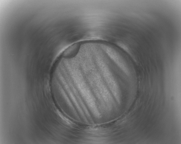 X0000066951452200604071926