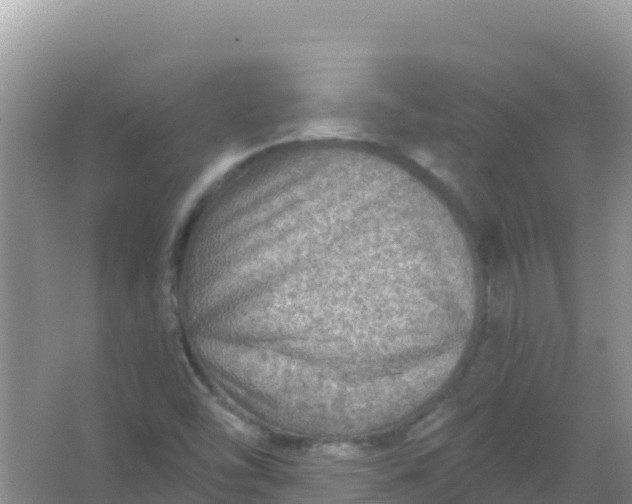 X0000066951454200604071926