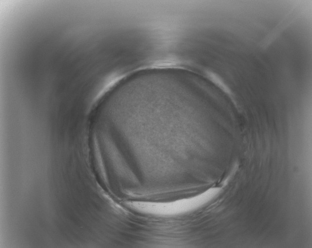 X0000066951456200604071926