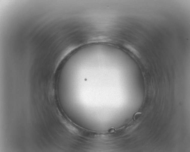 X0000066951458200604071926