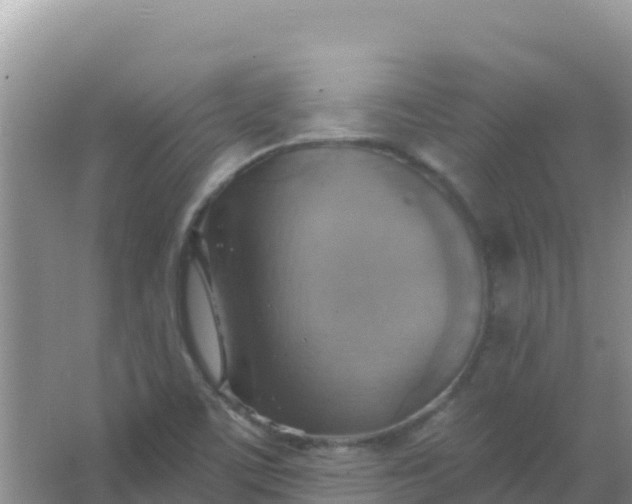 X0000066951459200604071926