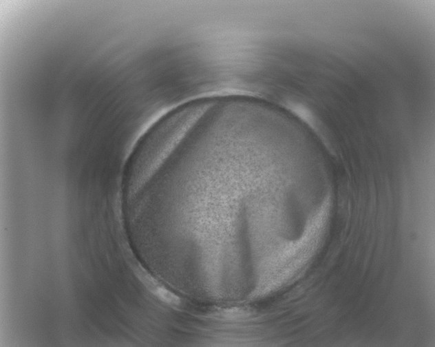 X0000066951460200604071926