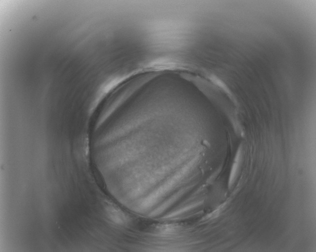 X0000066951461200604071926