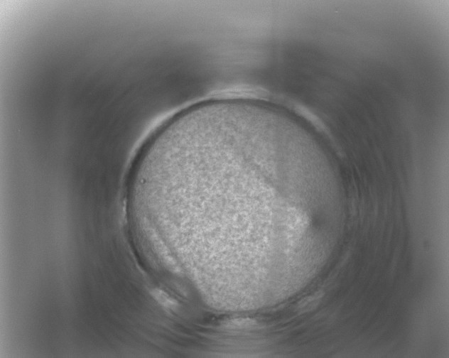 X0000066951462200604071926