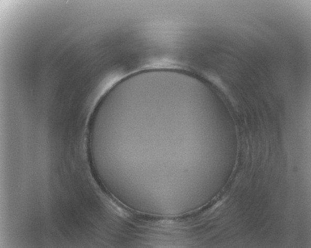 X0000066951463200604071926