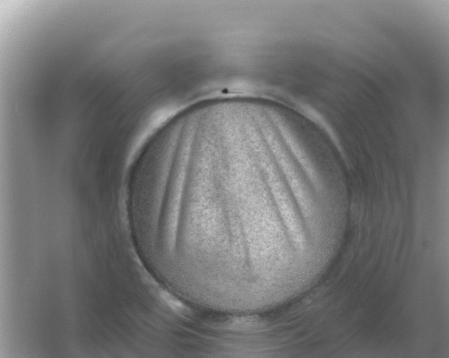 X0000066951464200604071926