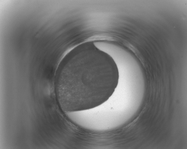 X0000066951465200604071926