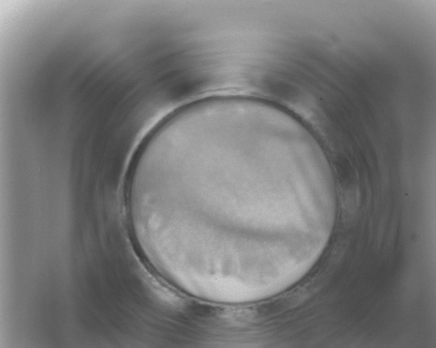 X0000066951466200604071926