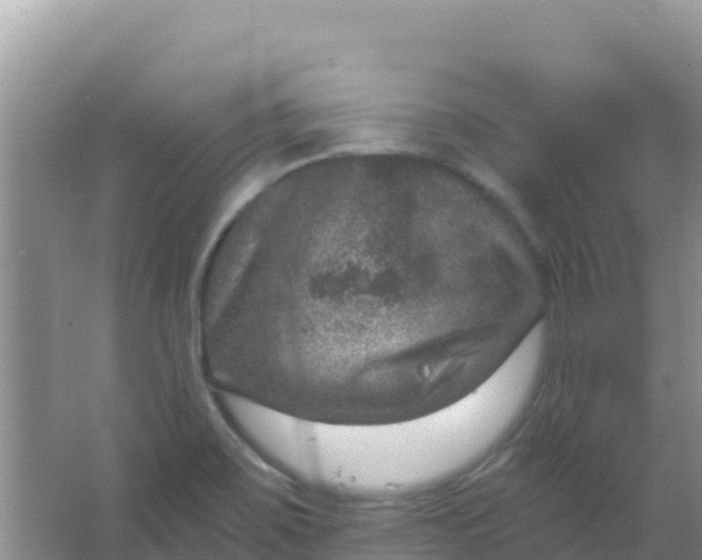 X0000066951467200604071926