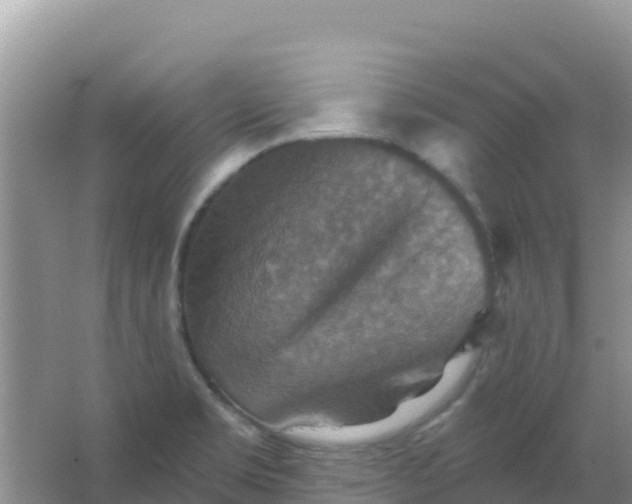 X0000066951469200604071925