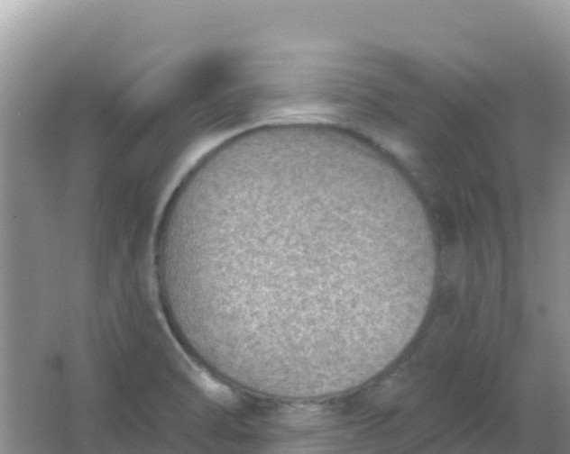 X0000066951470200604071925