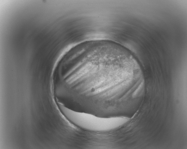 X0000066951472200604071925