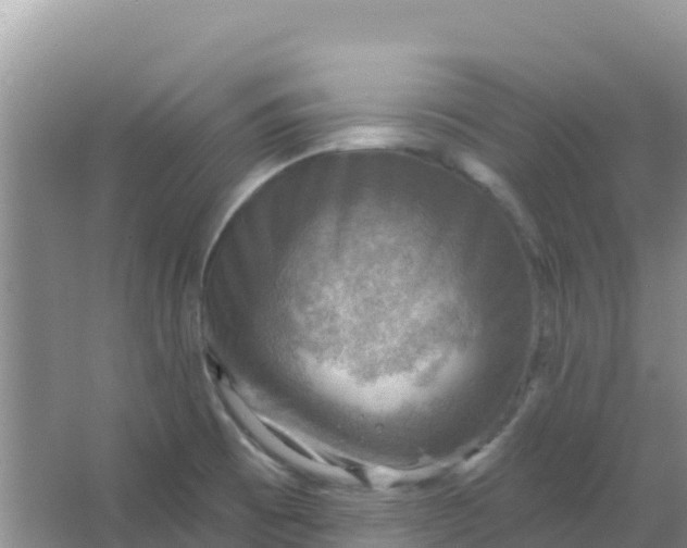 X0000066951473200604071925