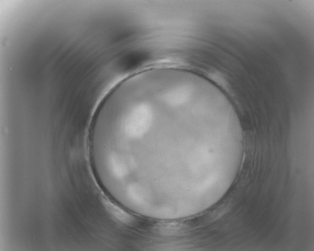 X0000066951474200604071925