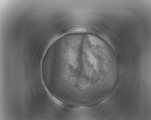 X0000066951475200604071925