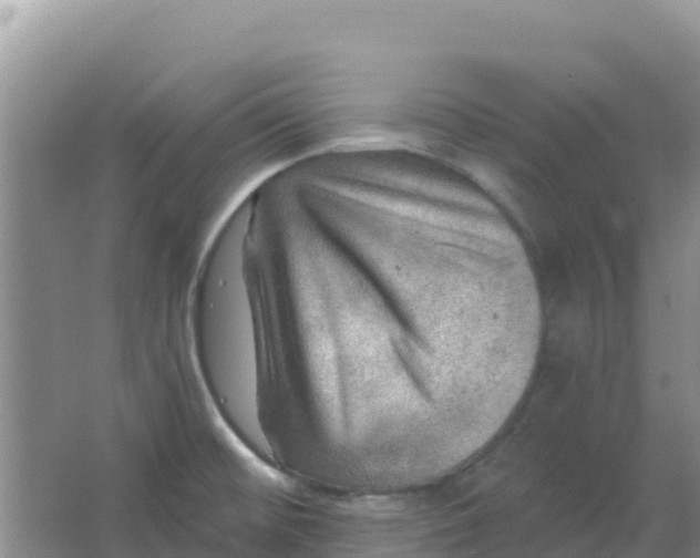 X0000066951476200604071925