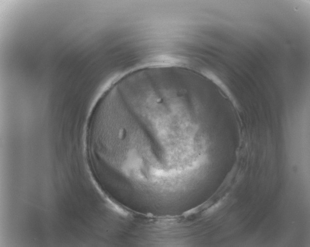 X0000066951477200604071925